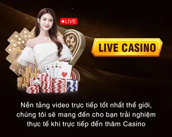 Quy trình hoạt động của chương trình đối tác jun880